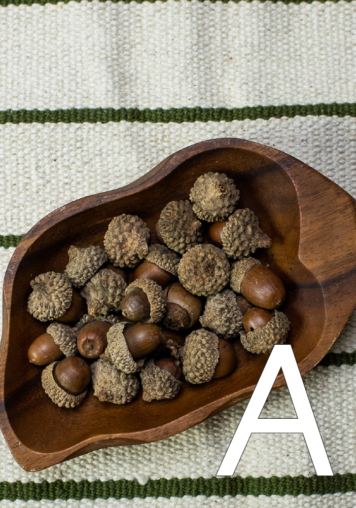 Loose Parts Alphabet Cards (UPPER case) - Printed (A6)